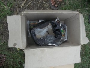 Gerakan massal pengendalian hayati hama wereng dengan TOP BN pada tanaman padi