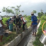 Gerakan massal pengendalian hayati hama wereng dengan TOP BN pada tanaman padi