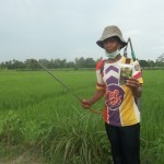 Gerakan massal pengendalian hayati hama wereng dengan TOP BN pada tanaman padi
