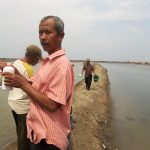 Beberapa penyakit pada budidaya Udang