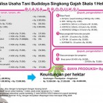 Analisa Usaha Budidaya Singkong Gajah