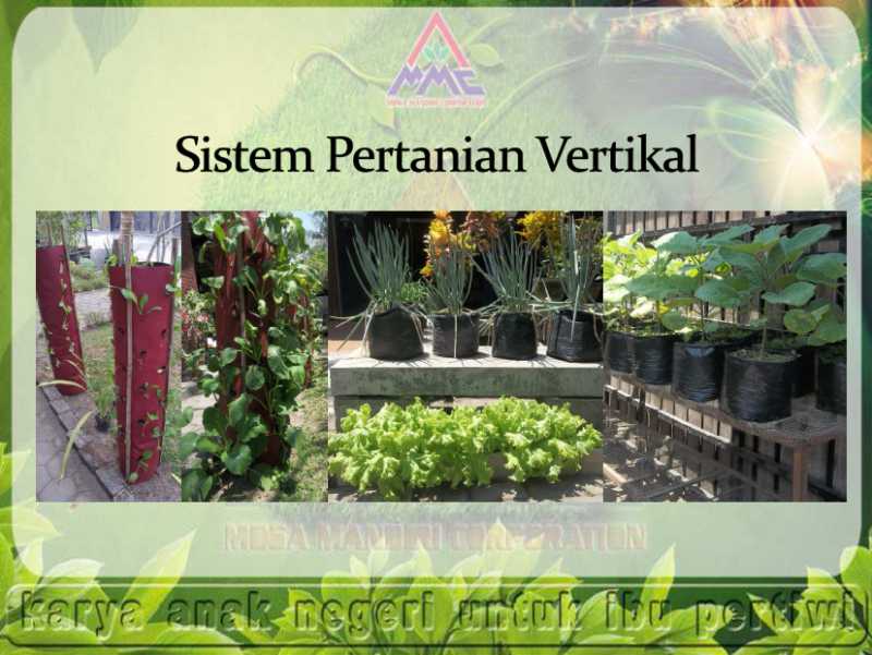 budidaya vertikultur