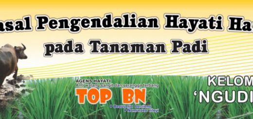 gerakan masal pengendalian wereng dengan agens hayati pada tanaman padi - aman