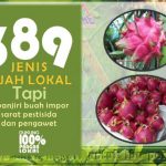 Panduan singkat budidaya buah naga