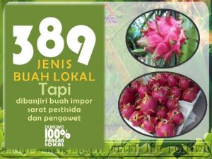 modul budidaya buah naga