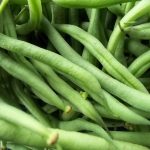 Pedoman Budidaya Buncis – Bag V ; Panen