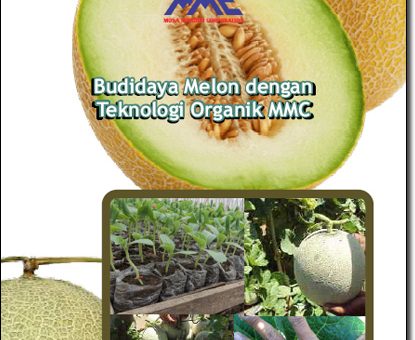 Modul Budidaya Melon dengan teknologi organik mmc