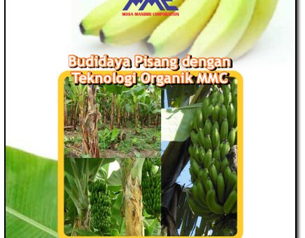 Modul Budidaya Pisang dengan teknologi organik mosa mandiri