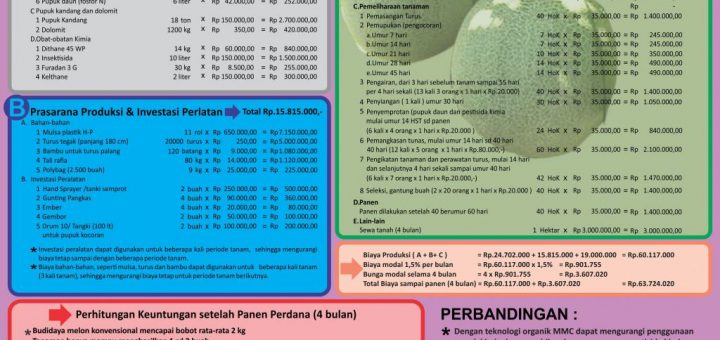 analisa usaha budidaya melon skala 1 hektar model konvensional tanpa teknologi organik MMC
