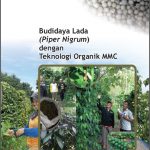 Modul Budidaya Lada (Piper Nigrum)