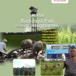 Modul Budidaya Padi (Oriza sativa)