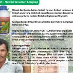 Baru 1 Bulan Penyemprotan, Perubahan Mulai Nampak Nyata