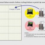 Cara Aplikasi Agens Hayati Pada Budidaya Padi