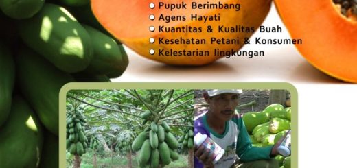 Buku Panduan budidaya california