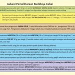 Jadwal Pemeliharaan Budidaya Cabai
