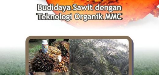 Modul Budidaya Sawit dengan teknologi MMC - SIMULTAN SAWIT - Edisi II Agustus 2016