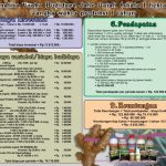 Analisa usaha budidaya jahe gajah organik skala 1 hektar