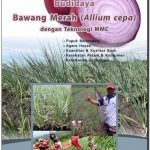 Modul Budidaya Bawang Merah (Allium cepa)