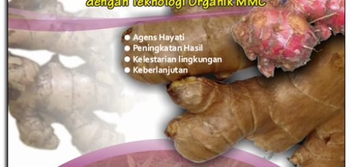 cover modul budidaya jahe dengan teknologi mmc - edisi II juli 2016.jpg