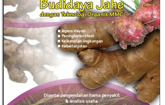 cover modul budidaya jahe dengan teknologi mmc - edisi II juli 2016.jpg