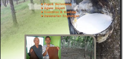 buku panduan budidaya karet