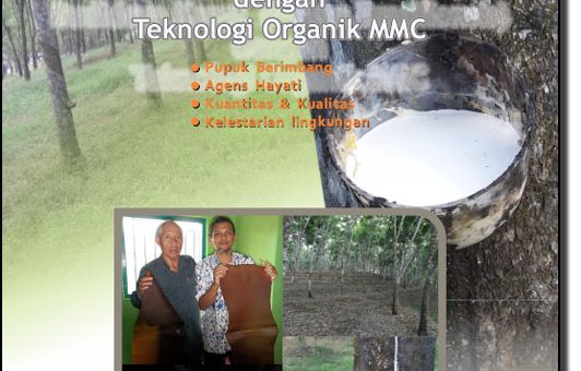 buku panduan budidaya karet