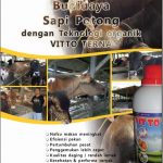 Modul Budidaya Sapi (Bos taurus)