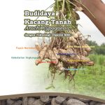 Modul Budidaya Kacang Tanah (Arachi Hypogaea L)