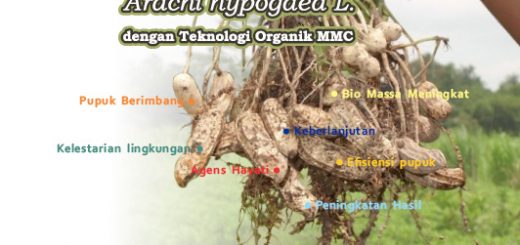 panduan budidaya kacang tanah pdf