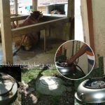 Pengelolaan Limbah Ternak Sapi