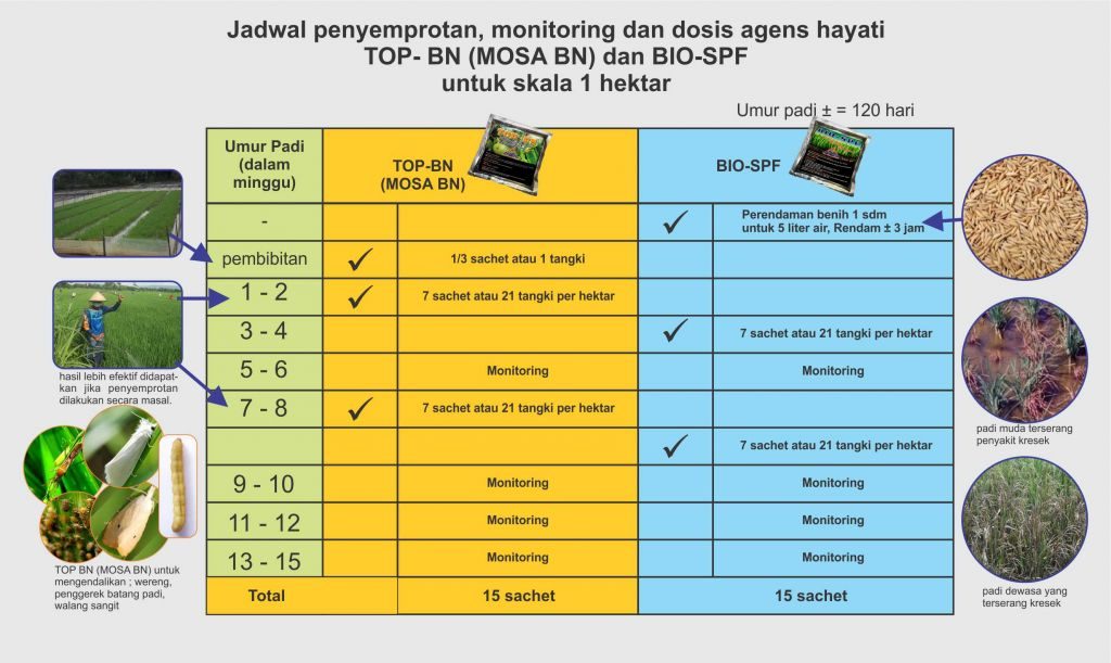 jadwal penyemprotan bio spf dan top bn