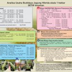 Analisa Usaha Budidaya Jagung