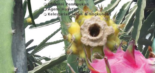 agritech hortech mosa gold, buah naga, mosa glio superglio, glio, bio-spf