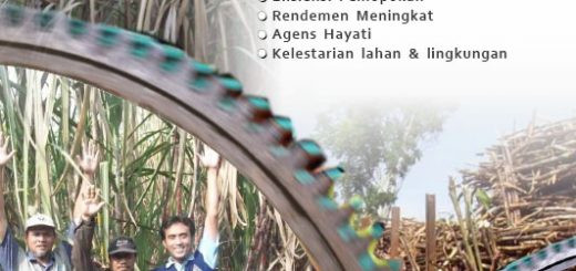 Modul Budidaya Tebu dengan teknologi MMC, e book budidaya tebu dengan teknologi MMC