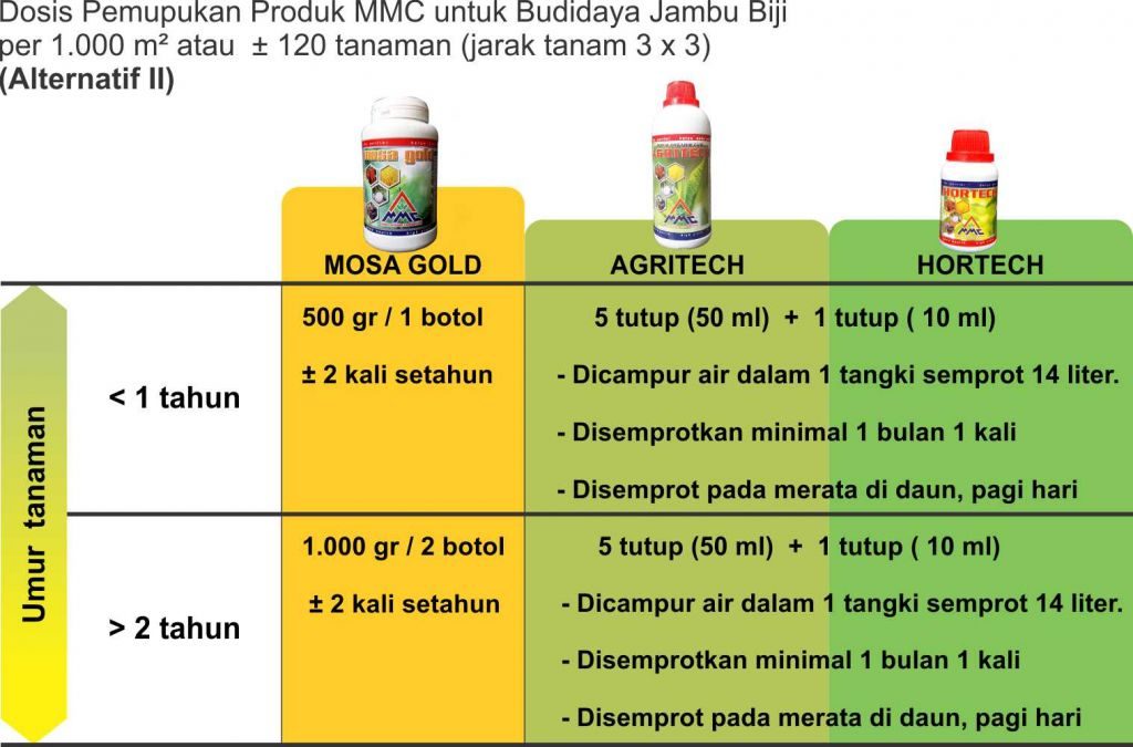 Dosis Pemupukan produk MMC untuk budidaya jambu biji alternatif II