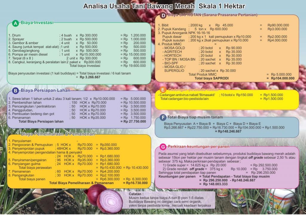  analisa usaha budidaya bawang merah skala 1 hektar.