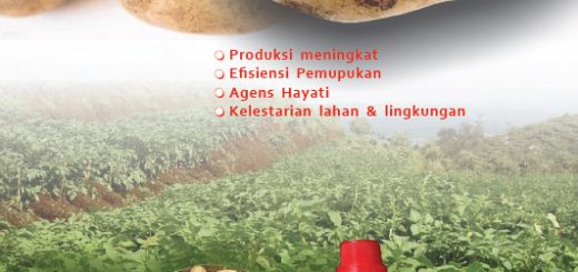 cover modul budidaya kentang dengan teknologi mmc