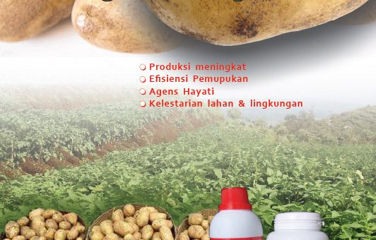 cover modul budidaya kentang dengan teknologi mmc