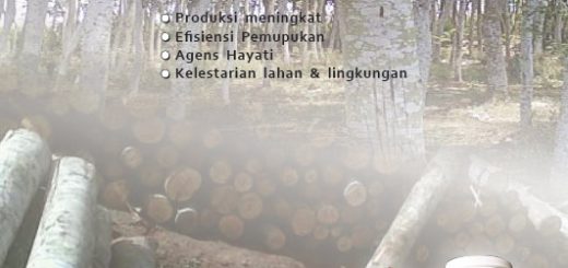 cover modul budidaya sengon