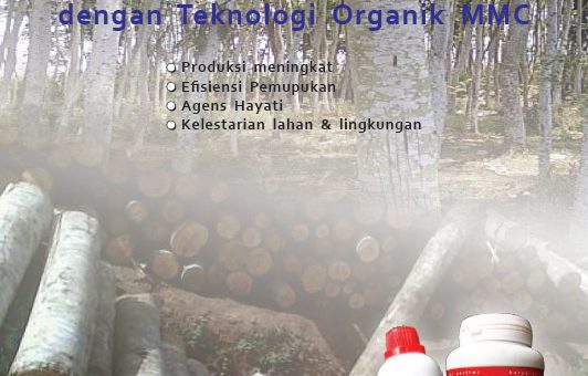 cover modul budidaya sengon