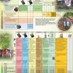 Jadwal Pemupukan, Monitoring dan Penggunaan Agens Hayati untuk Budidaya Cabai