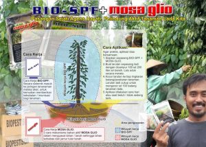sepaket mosa glio bio-spf untuk lada