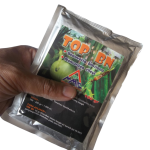 Penyakit Mozaik /Blorok pada budidaya kentang..