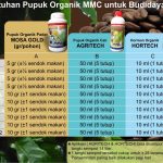 Kebutuhan Pupuk Organik Untuk Budidaya Kopi