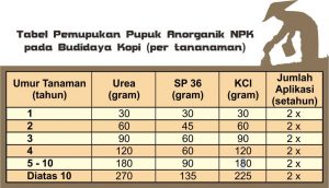 Tabel pemupukan pupuk makro npk pada budidaya kopi