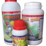 Pemupukan dan Pengendaliah Hama Penyakit Budidaya Pare