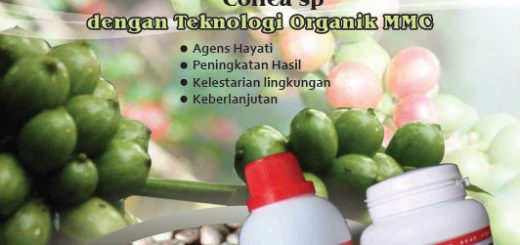 modul budidaya kopi dengan teknologi mmc - edisi I april 2017