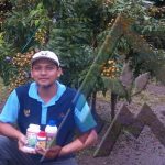 Budidaya, Bag II – Budidaya Lengkeng.