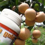 Budidaya lengkeng,  Bag I – Jenis-jenis dan Persiapan lahan