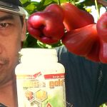 Budidaya Jambu Air (Syzygium aqueum), Bag I – Jenis-jenis dan syarat tumbuh